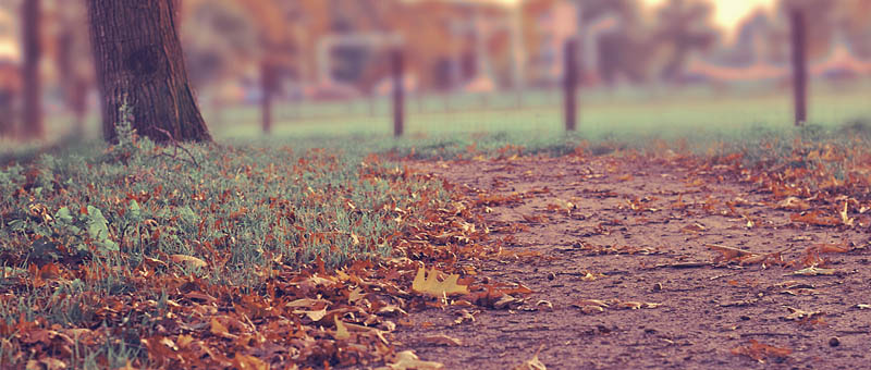 智能预警提醒的网络短信免费版