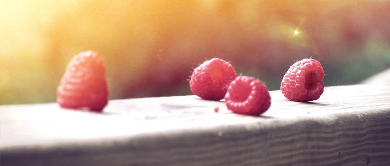 不限速下载的云呼死你官网